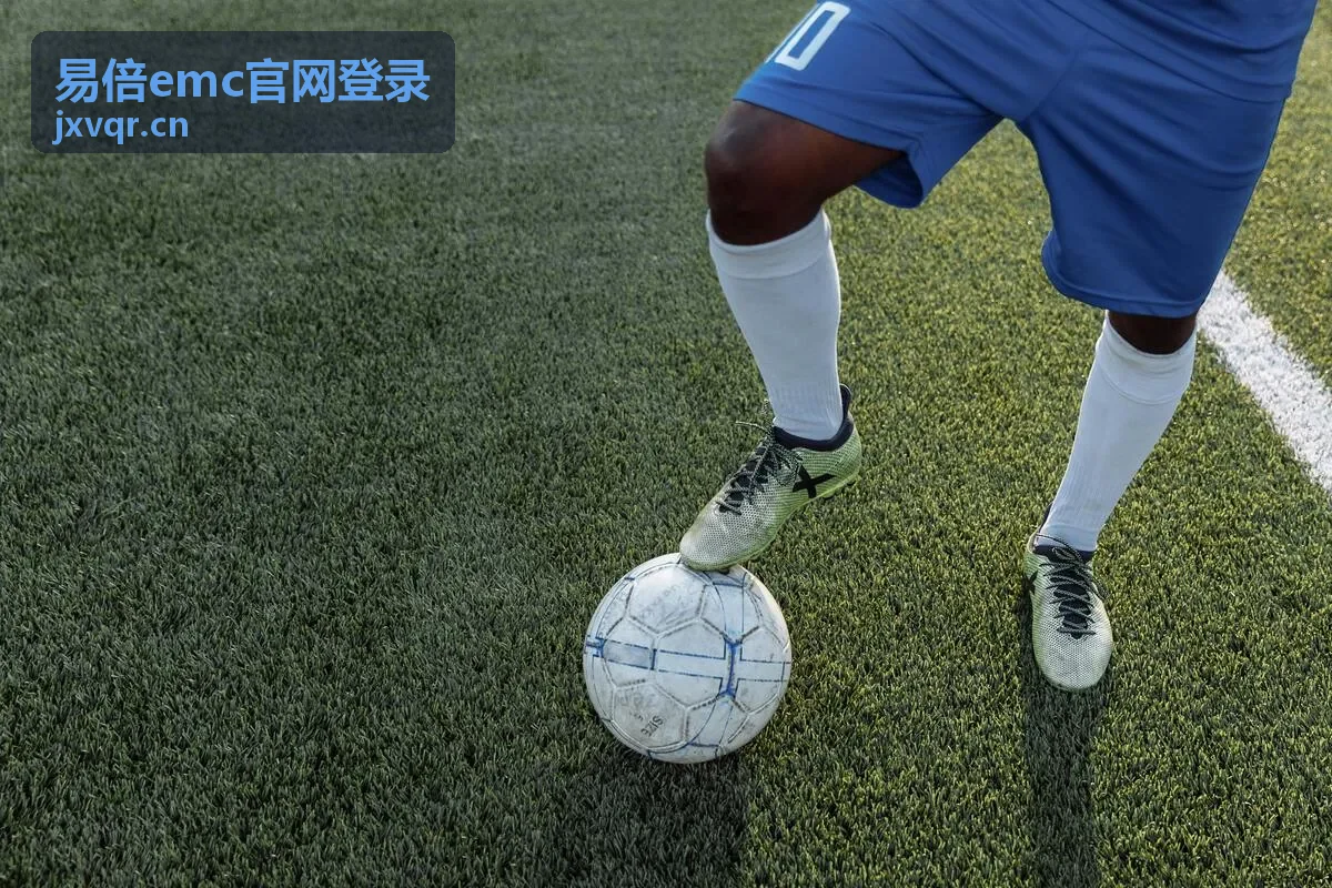 易倍emc官网登录最新指南封面