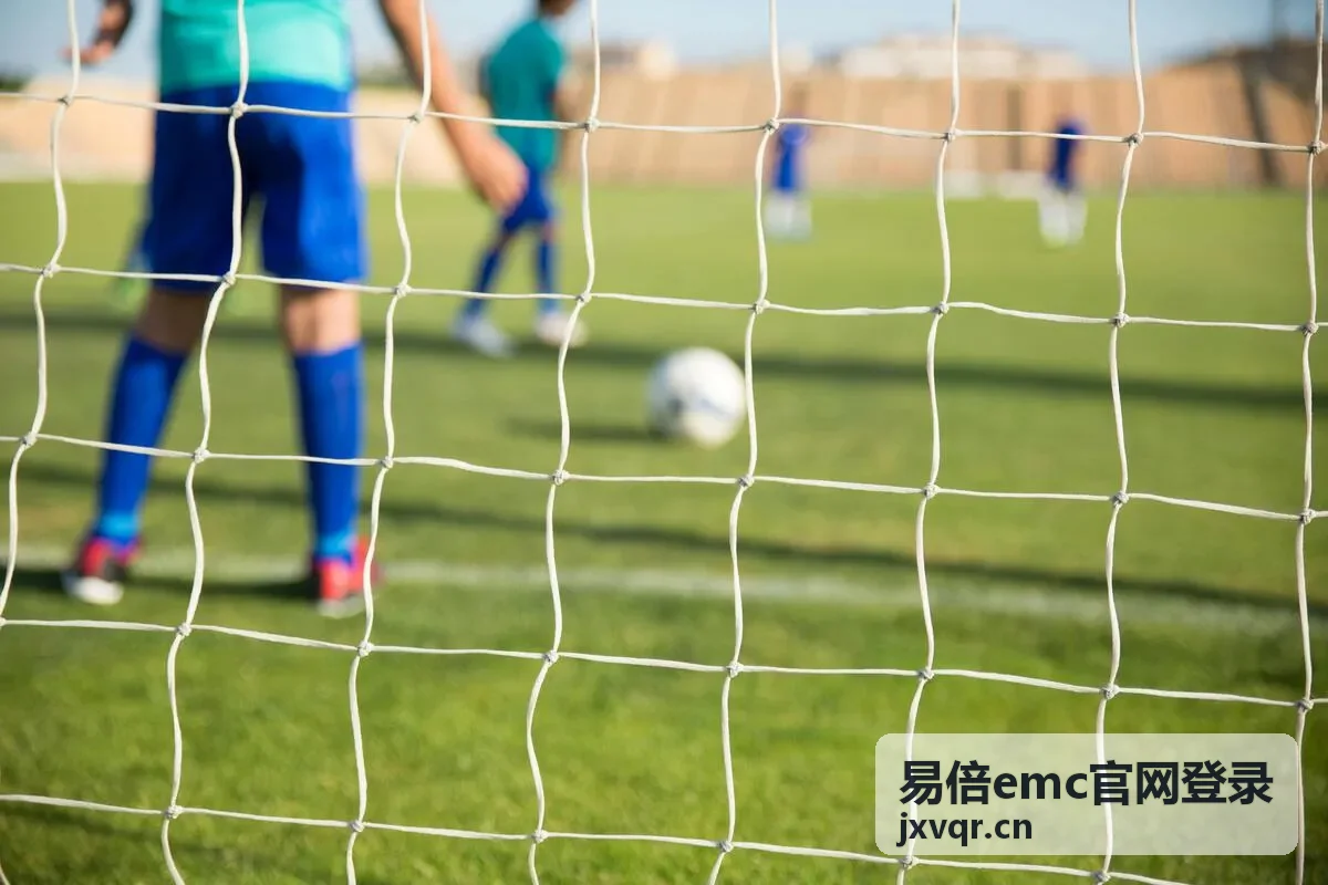 易倍emc官网登录最新指南封面